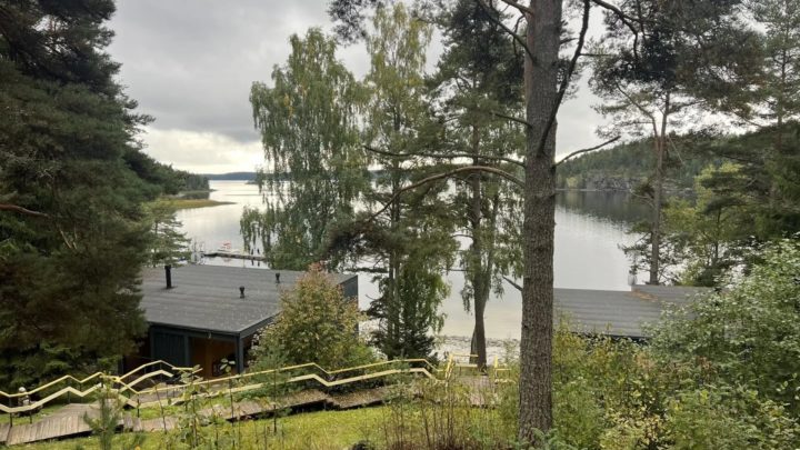 Индивидуалки Петрозаводска Проверенные Фото