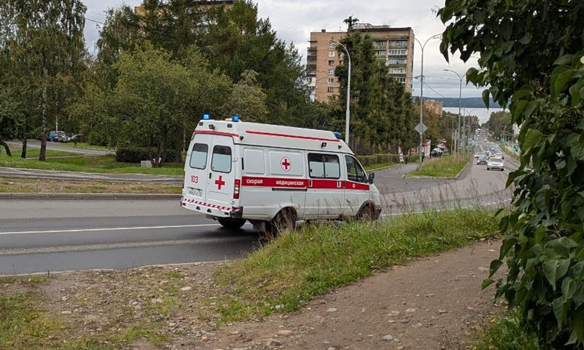 Житель Карелии сам предложил ударить себя ножом