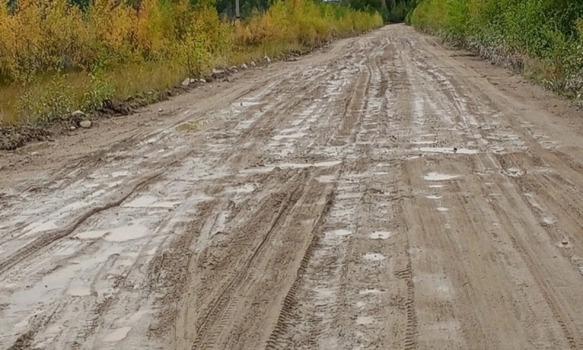 Названо, когда в Карелии отремонтируют дорогу, которая «отрезает» людей от жизни