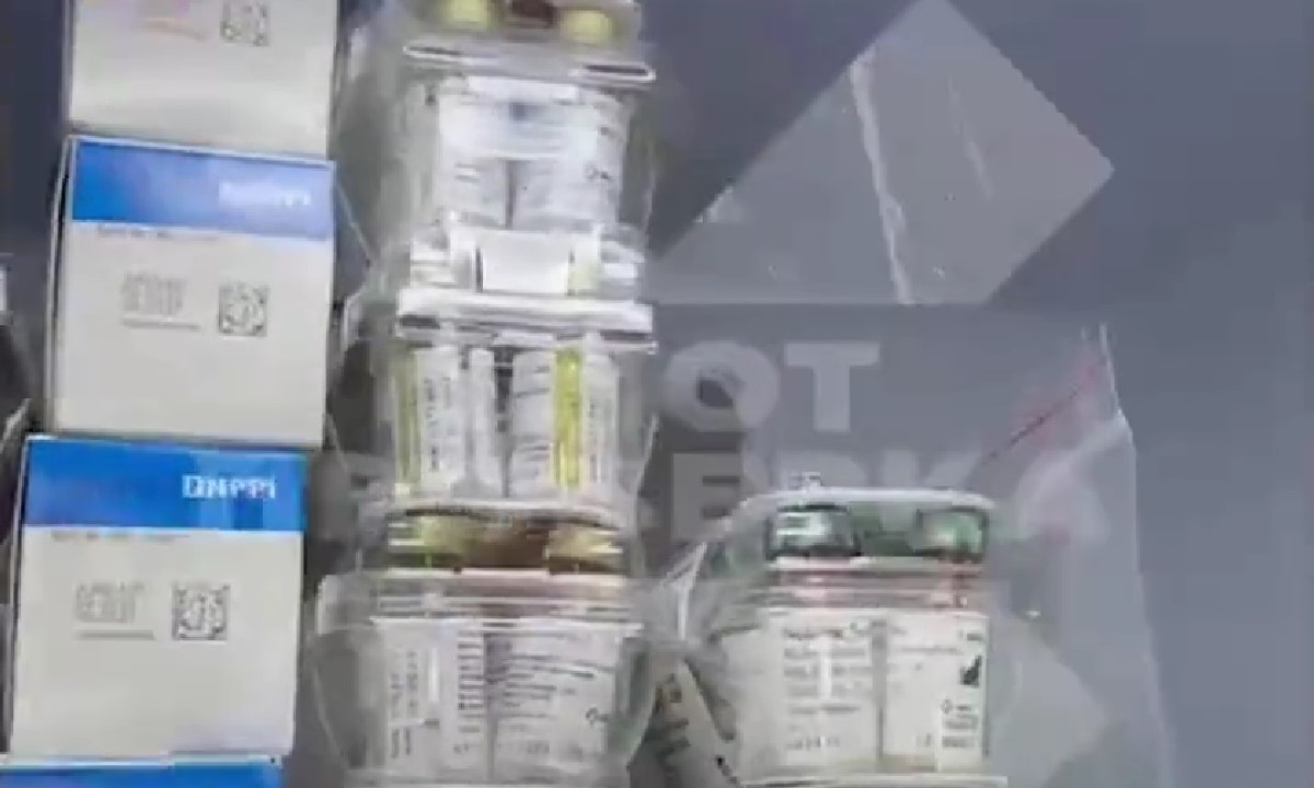 Россияне массово везут собак в Белоруссию на «вакциновые туры»