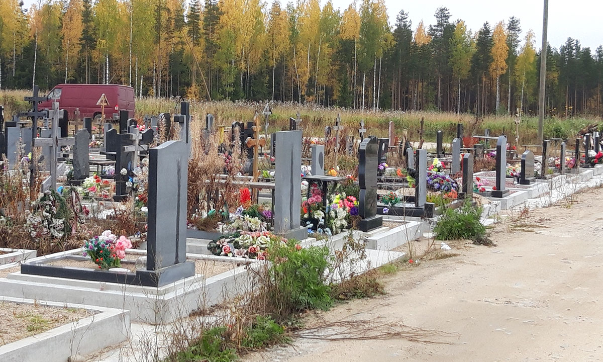 Ради красивой фотосессии женщина украла с могилы 96 роз