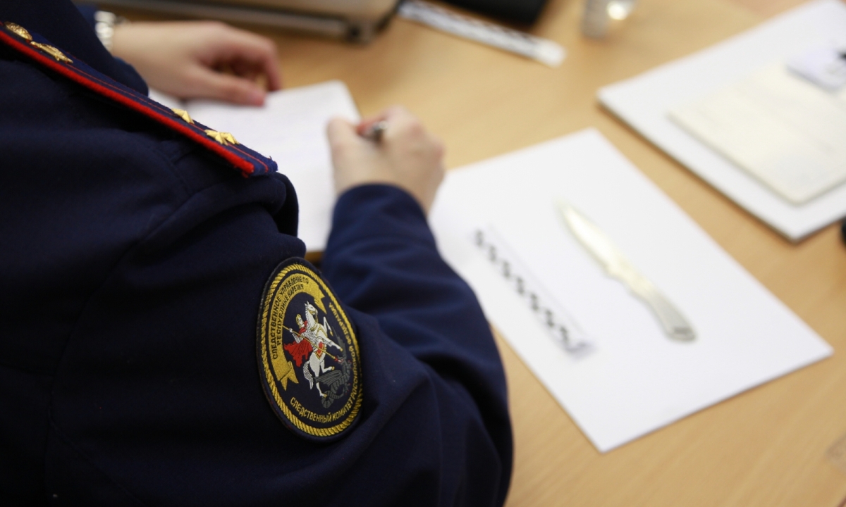 Жительница Карелии сперва убила подругу, а потом попыталась зарезать знакомого