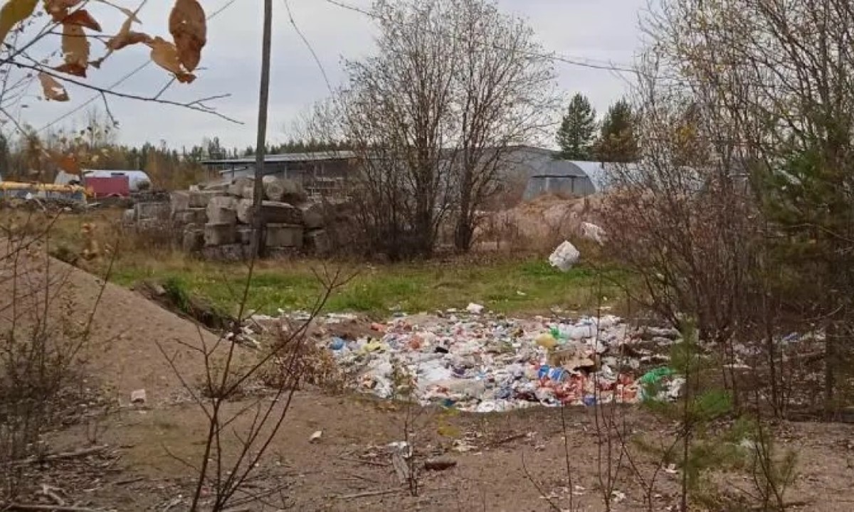 В Карелии сборщики ягод оставляют свалки мусора