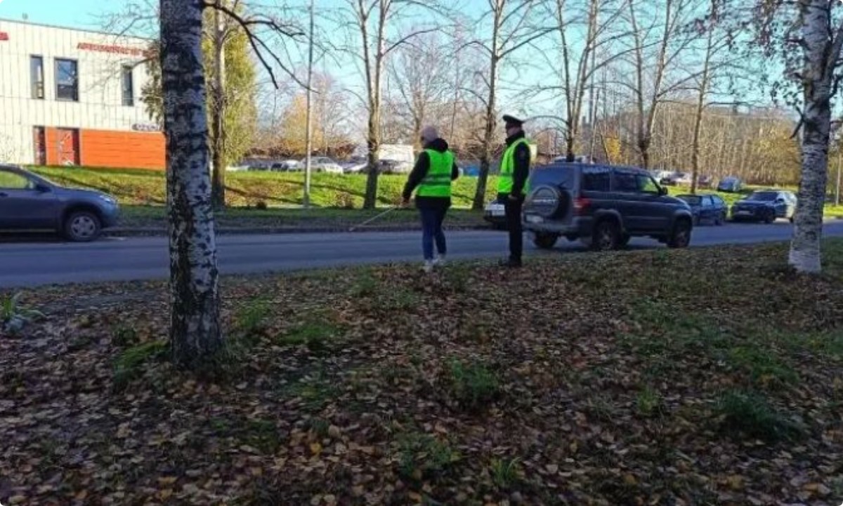 «С этим у нас в городе серьезные проблемы». В Петрозаводске водители не пропускают слепых пешеходов